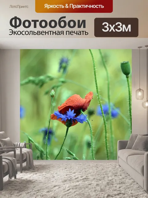 Фотообои Мак