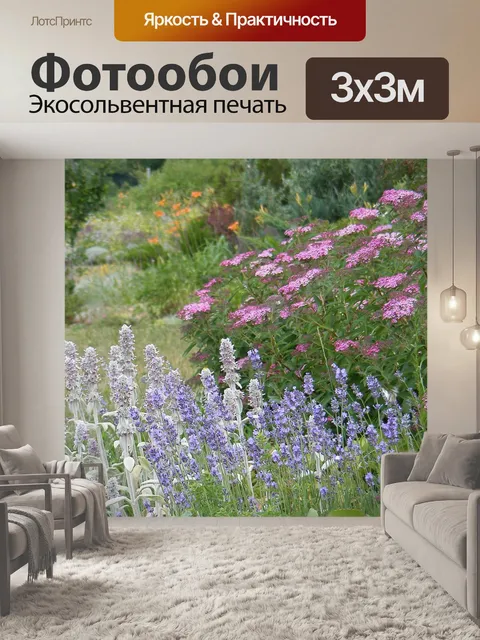 Фотообои Лаванда