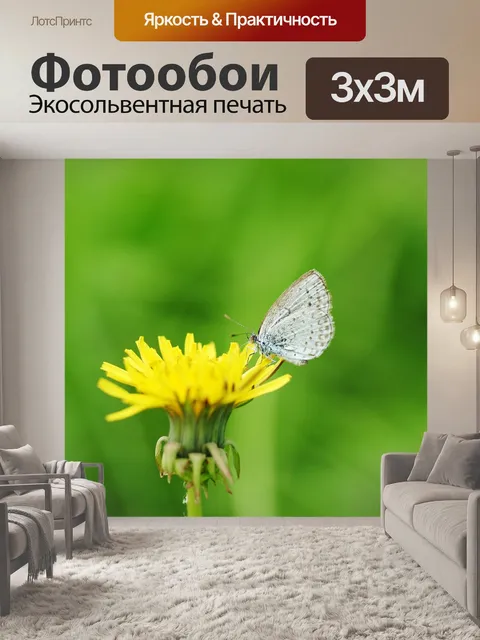 Фотообои Одуванчик