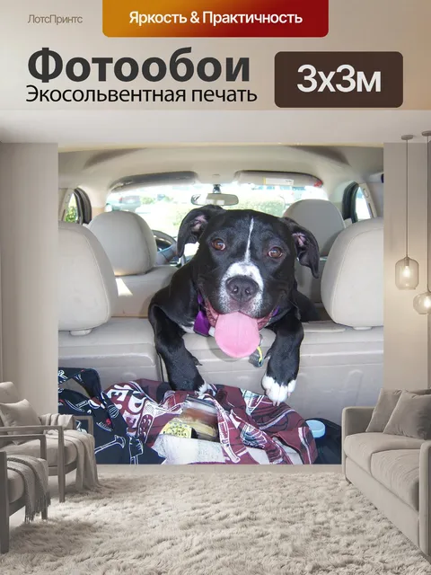 Фотообои Собака