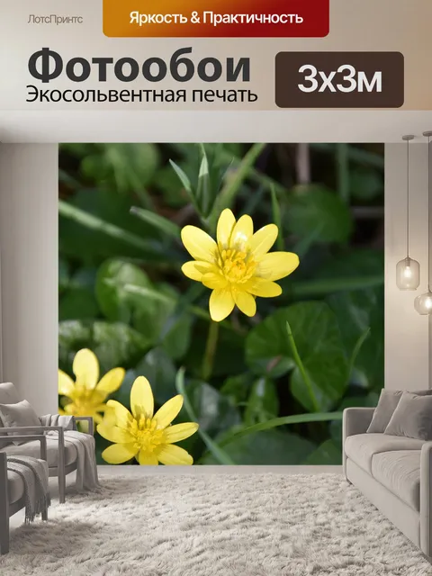 Фотообои Золотые пуговицы