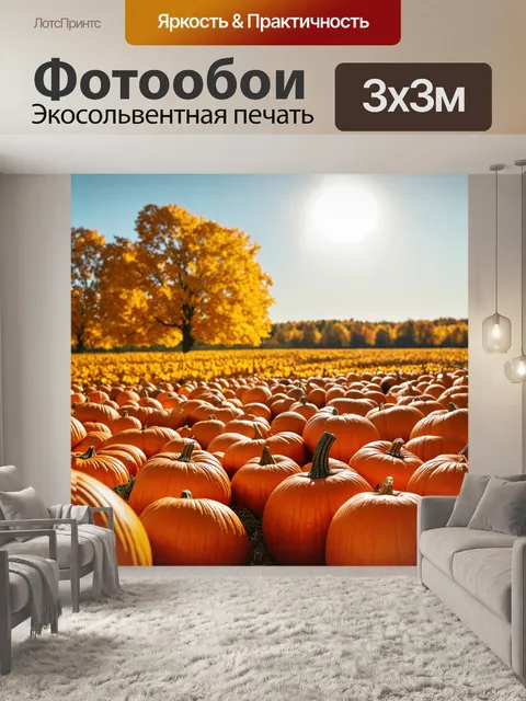 Фотообои оранжевый цвет изображают необъятные поля тыкв, заполненные зрелыми плодами под ярким осенним солнцем
