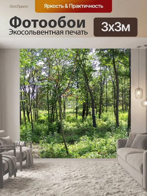 Фотообои Деревья