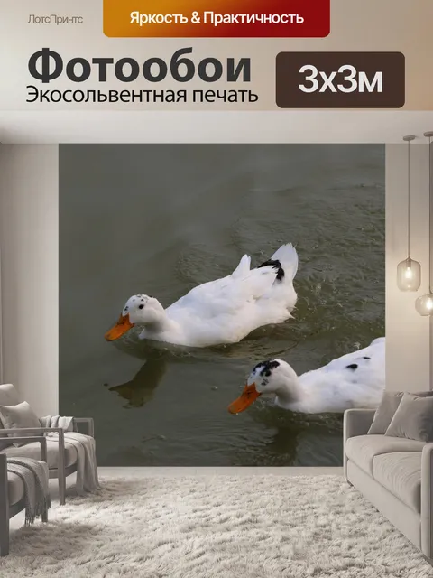 Фотообои Гуси