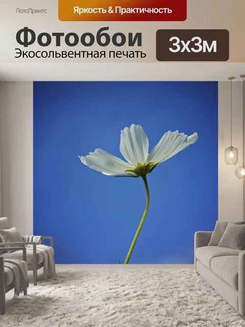Фотообои Космос