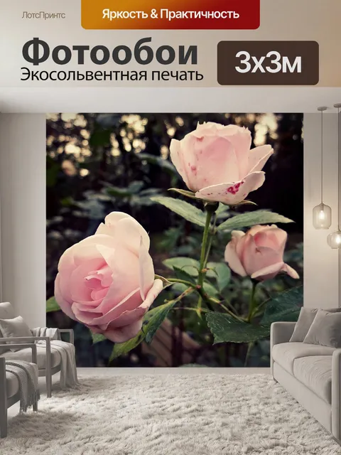 Фотообои Розы
