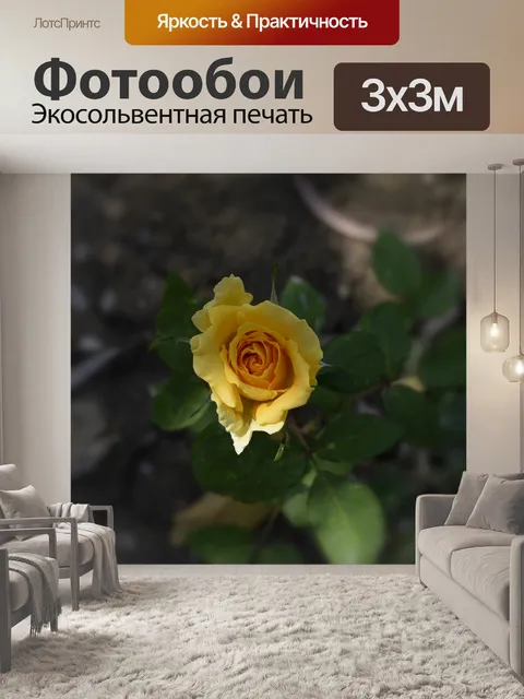 Фотообои Природа