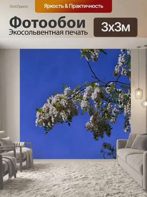 Фотообои Акация