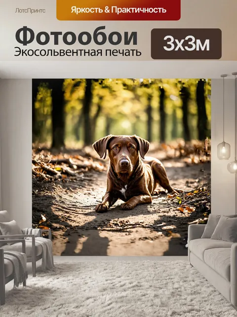 Фотообои грязный лабрадор, с коричневыми пятнами на шерсти, лежит на пыльной дорожке, вокруг него раскиданы веточки и…
