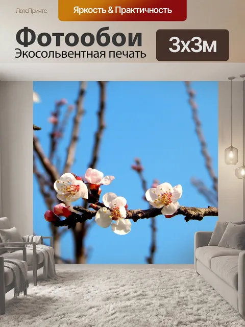 Фотообои Цветы