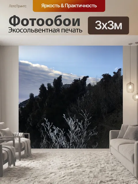 Фотообои Снег