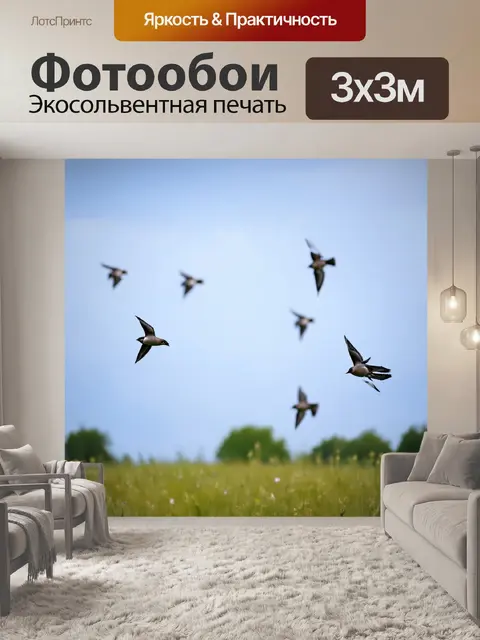Фотообои летящие ласточки, стремительно проносящиеся по прохладным воздушным потокам над лугом