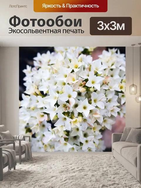 Фотообои Белый