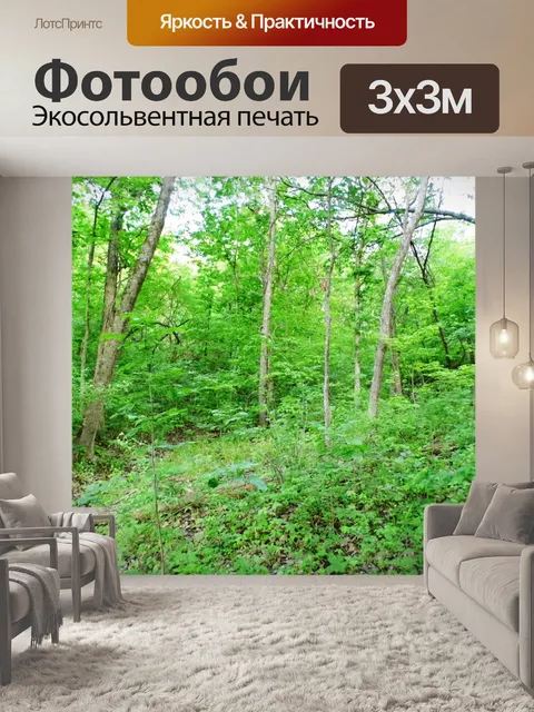 Фотообои В лесу
