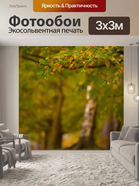 Фотообои Осенние листья