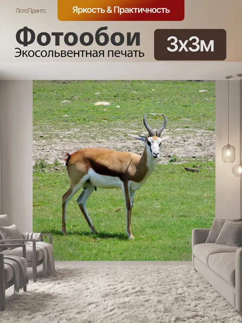 Фотообои Зоопарк KC 09