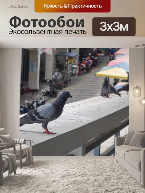 Фотообои Голуби