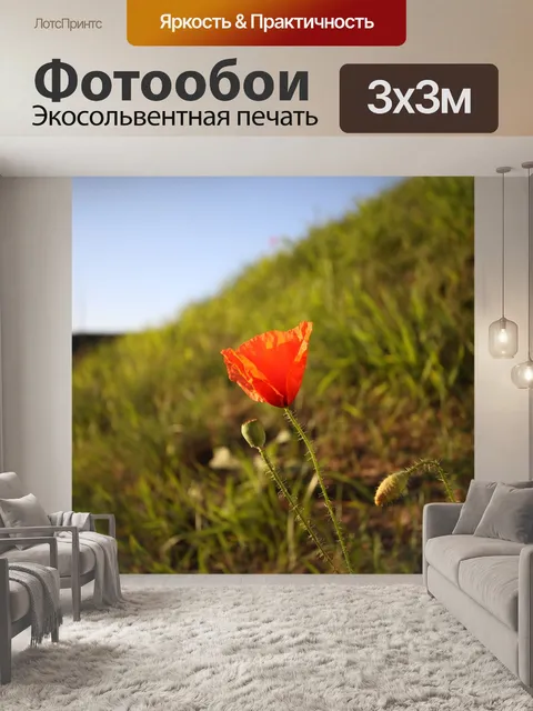 Фотообои Мак