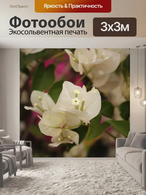 Фотообои Цветы