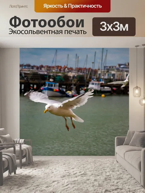Фотообои Чайки в море