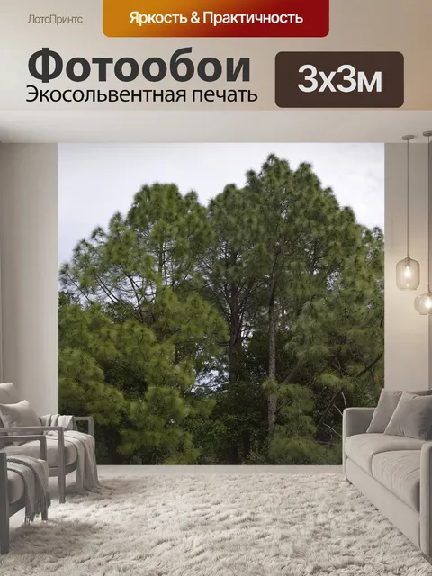 Фотообои Деревья