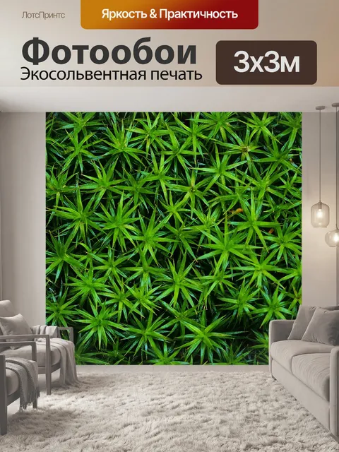 Фотообои Природа