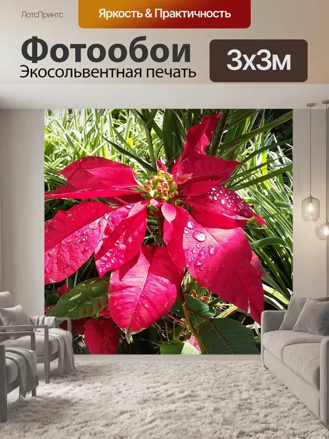 Фотообои Цветы
