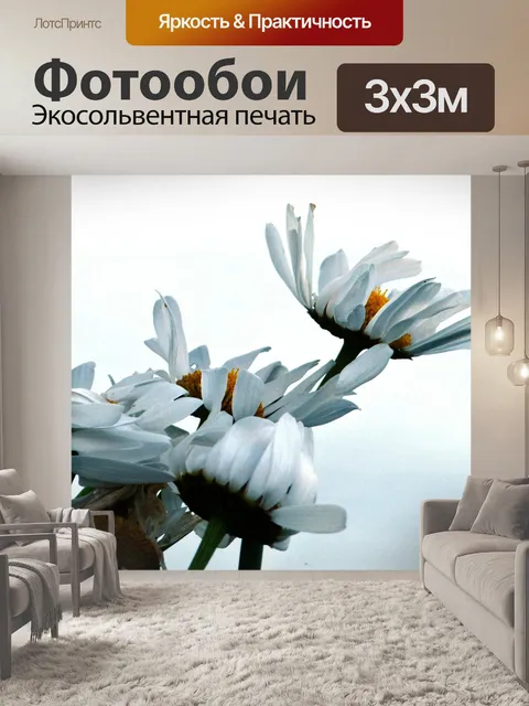 Фотообои Маргаритка