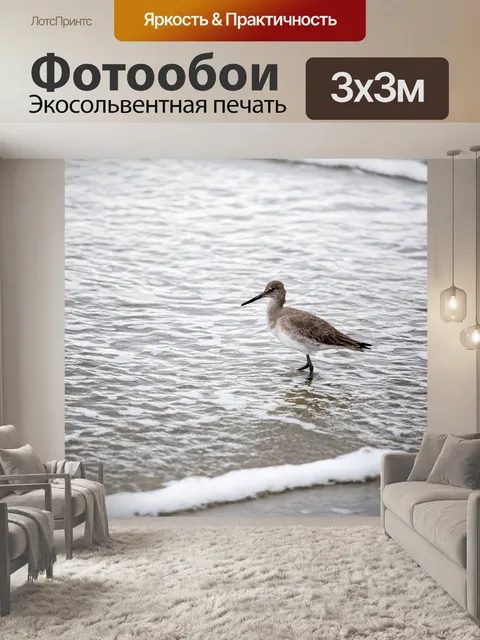 Фотообои Птица