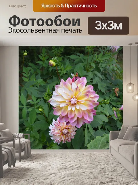 Фотообои Цветы