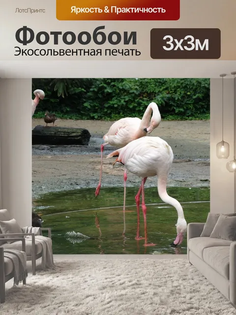 Фотообои Фламинго