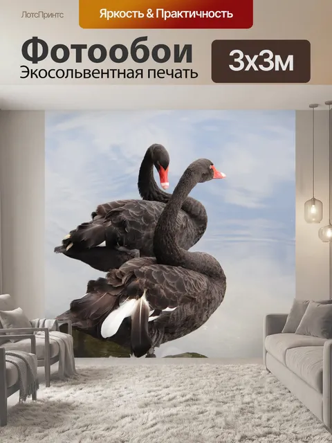Фотообои Лебеди