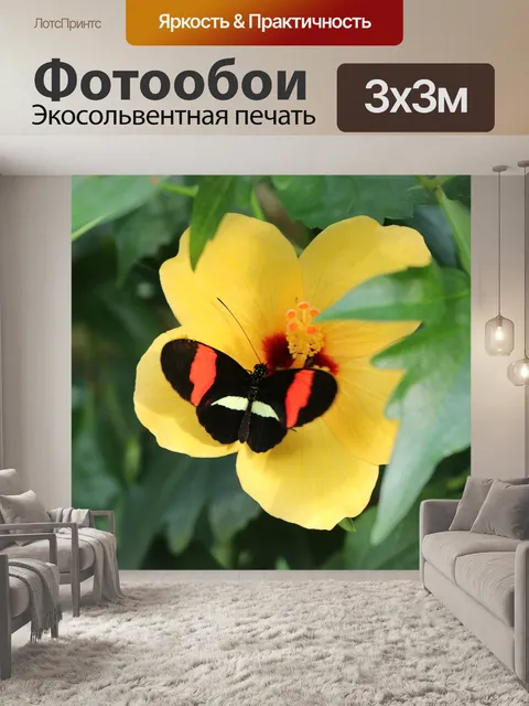 Фотообои Бабочка