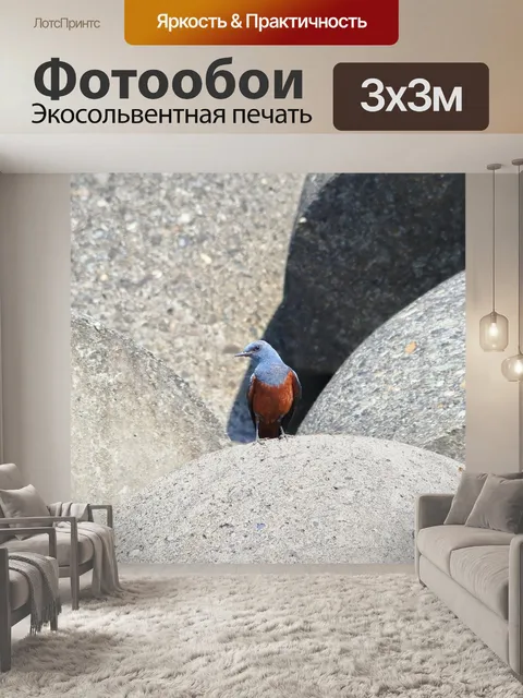 Фотообои Животное
