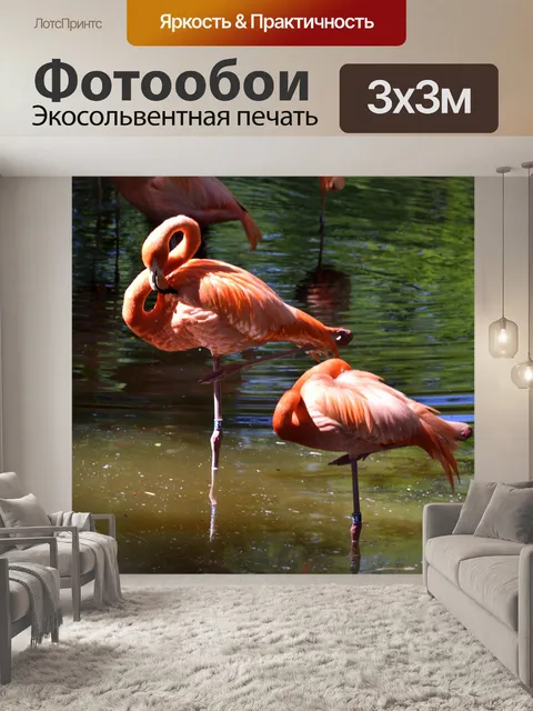 Фотообои Фон фламинго