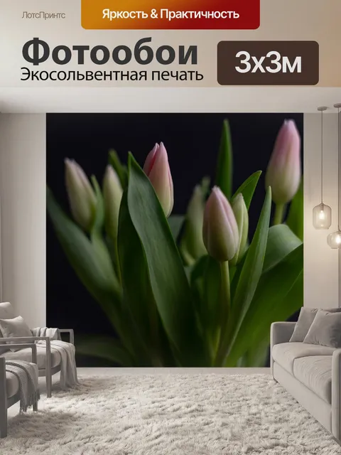 Фотообои Тюльпаны