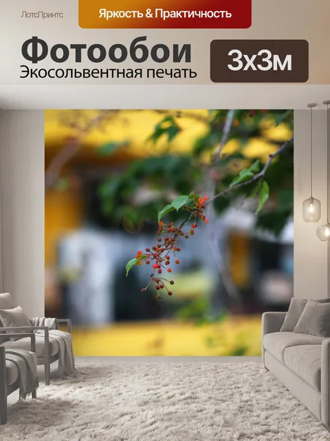 Фотообои Фрукты