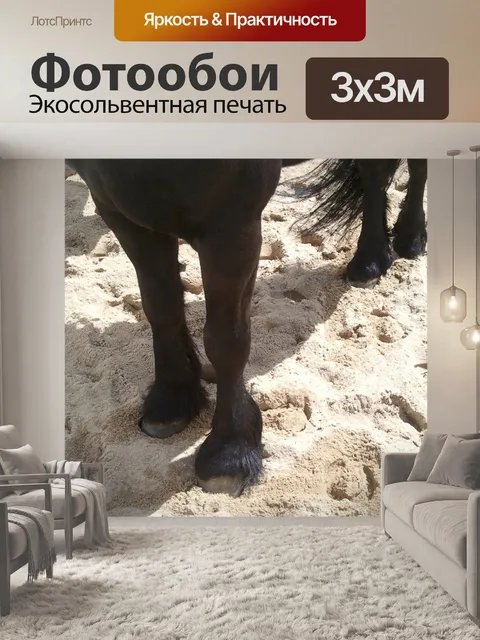 Фотообои Лошадь
