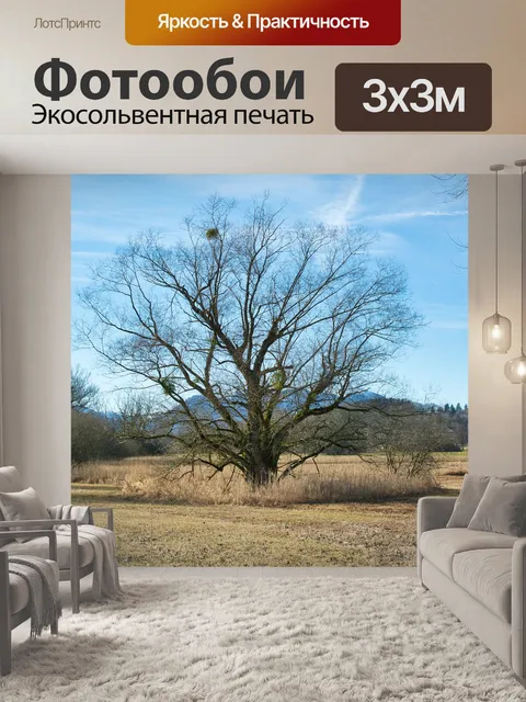 Фотообои Деревья
