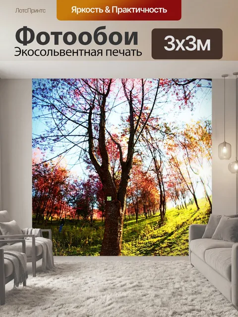 Фотообои Prunus cerasoides, дикая гималайская виш