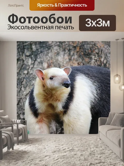 Фотообои Животное