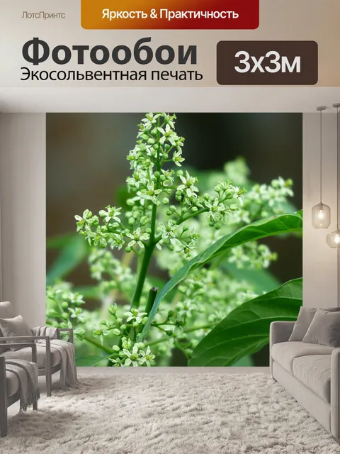 Фотообои Расцветает