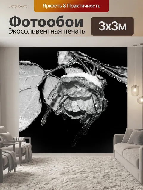 Фотообои Лед