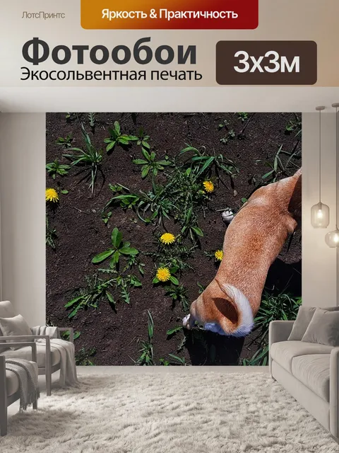 Фотообои Собака