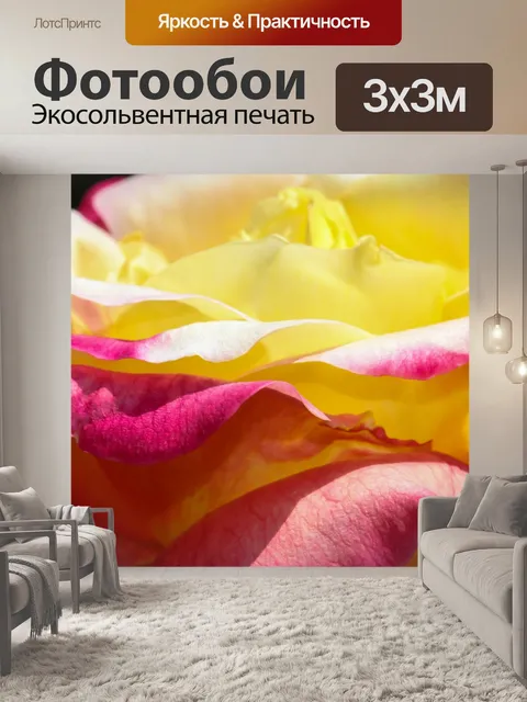 Фотообои Роза