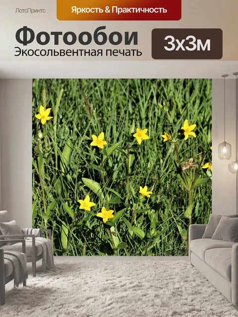 Фотообои Техас Желтая звезда полевые цветы