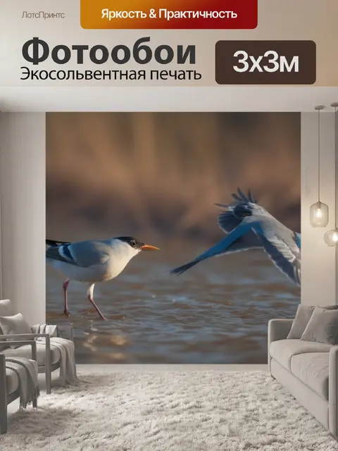 Фотообои ловят рыбу