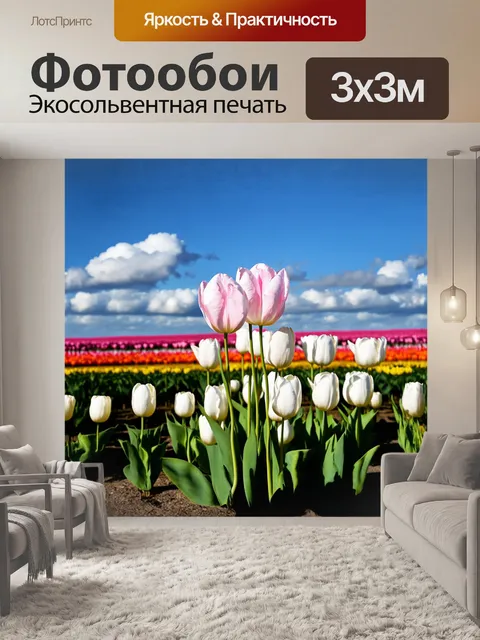 Фотообои главным объектом кадра является группа белых тюльпанов с легким розоватым оттенком, которые колышутся на ветру