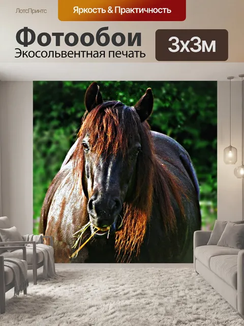 Фотообои Лошадь