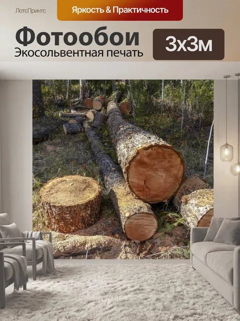 Фотообои Древесина